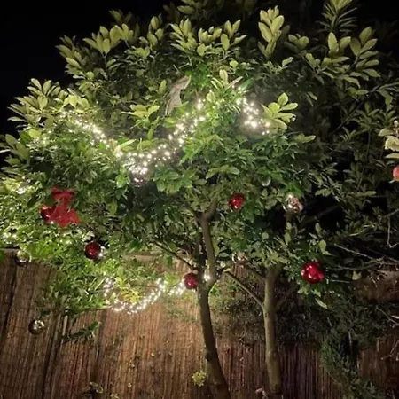 Daire Le De Sabina - Colmar