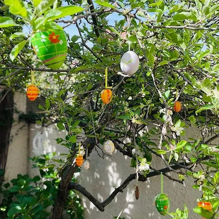 Le De Sabina - * Colmar